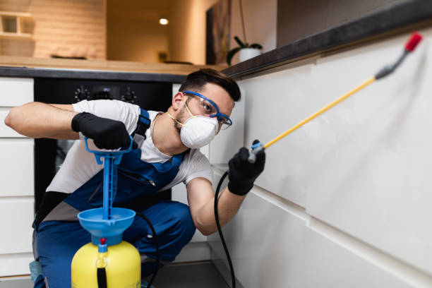 Best Wasp Removal Services  in Pasadena, CA