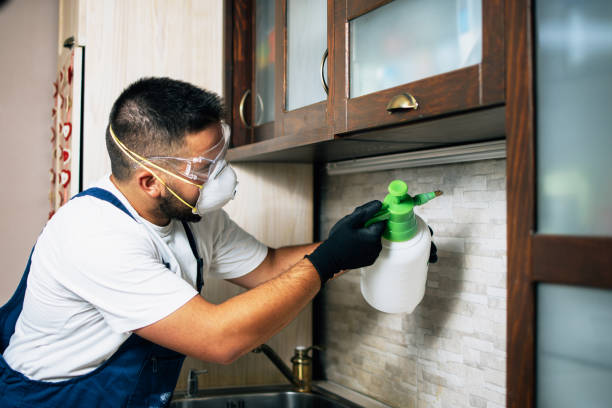 Best Emergency Pest Control  in Pasadena, CA