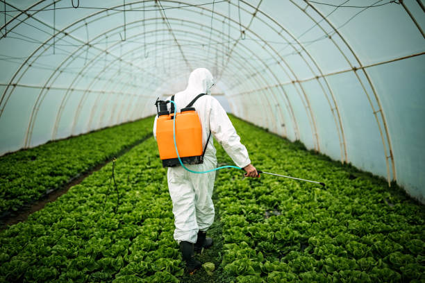 Best Commercial Pest Control Services  in Pasadena, CA