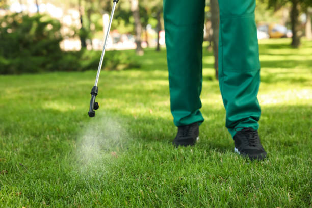 Best Ant Control Services  in Pasadena, CA