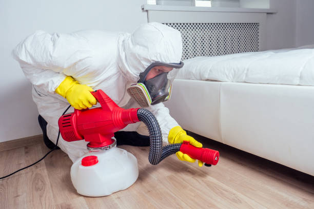 Best Mosquito Control Services  in Pasadena, CA