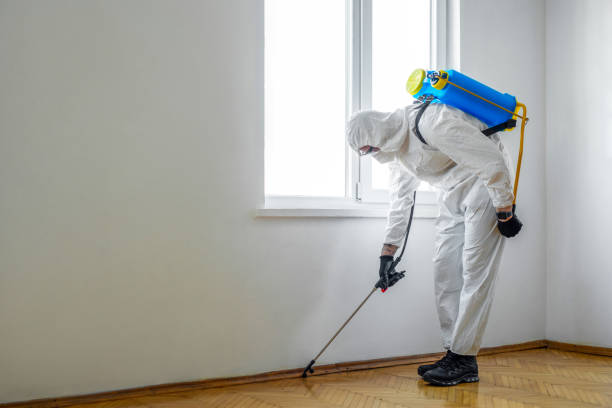 Best Termite Control Services  in Pasadena, CA