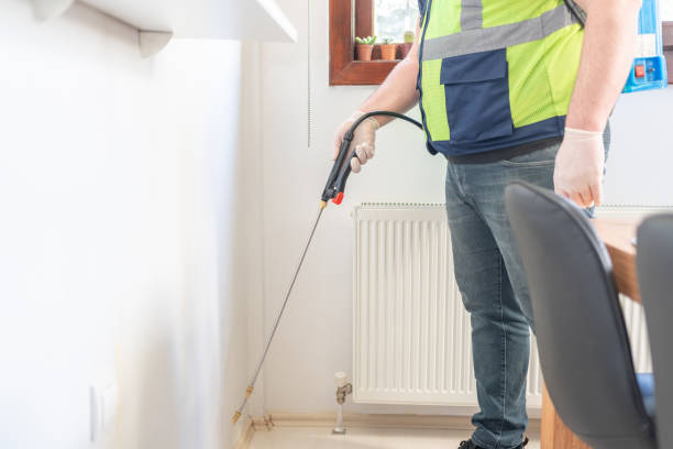 Wasp Removal Services in Pasadena, CA