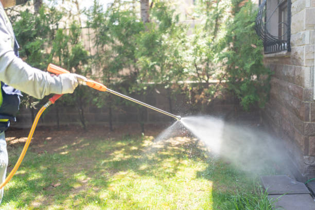 Best Cockroach Control Services  in Pasadena, CA