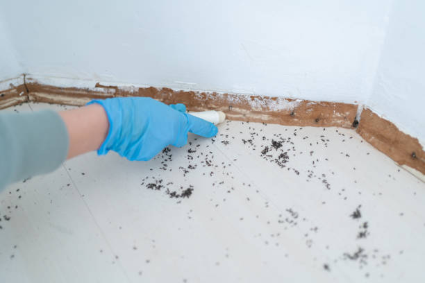 Best Pest Removal Services  in Pasadena, CA
